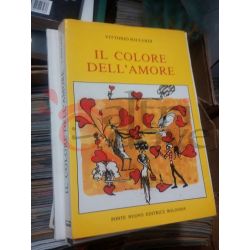 il colore dell'amore  RIZZARDI Vittorio   Ponte Nuovo Editrice Bologna Romanzo