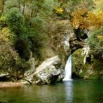 Sicilia inedita a novembre: perché il Bosco di Malabotta è il paradiso nascosto tra i Nebrodi