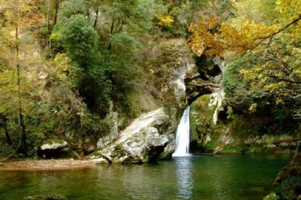 Sicilia inedita a novembre: perché il Bosco di Malabotta è il paradiso nascosto tra i Nebrodi
